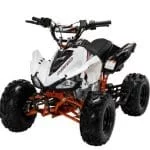 imgl5141-ts1484200606-150x150 imgl5141-ts1484200606-150x150